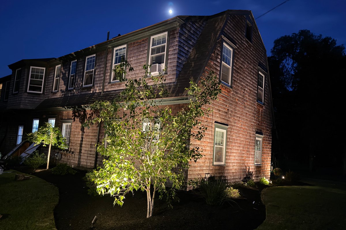 Birch tree uplighting at night with cedar shingle colonial home and moon, North Kingston RI