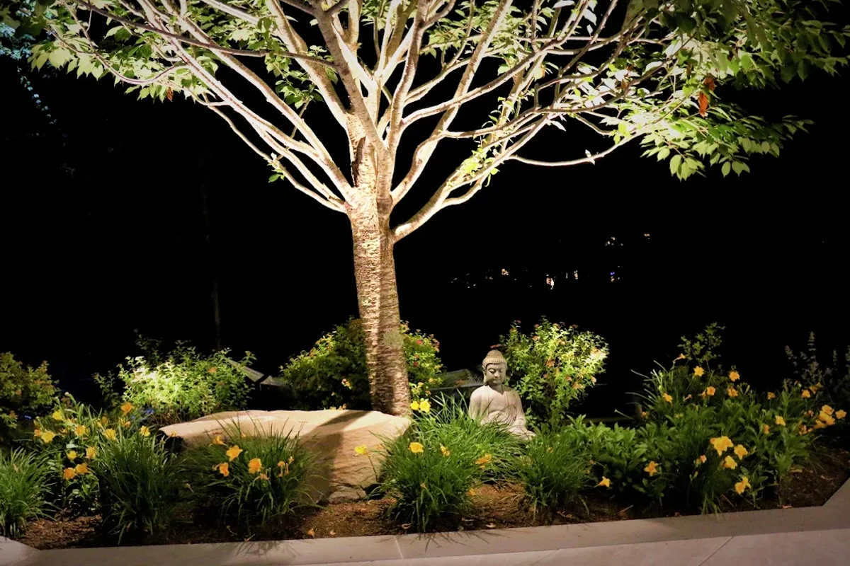 Garden tree and sculpture lighting