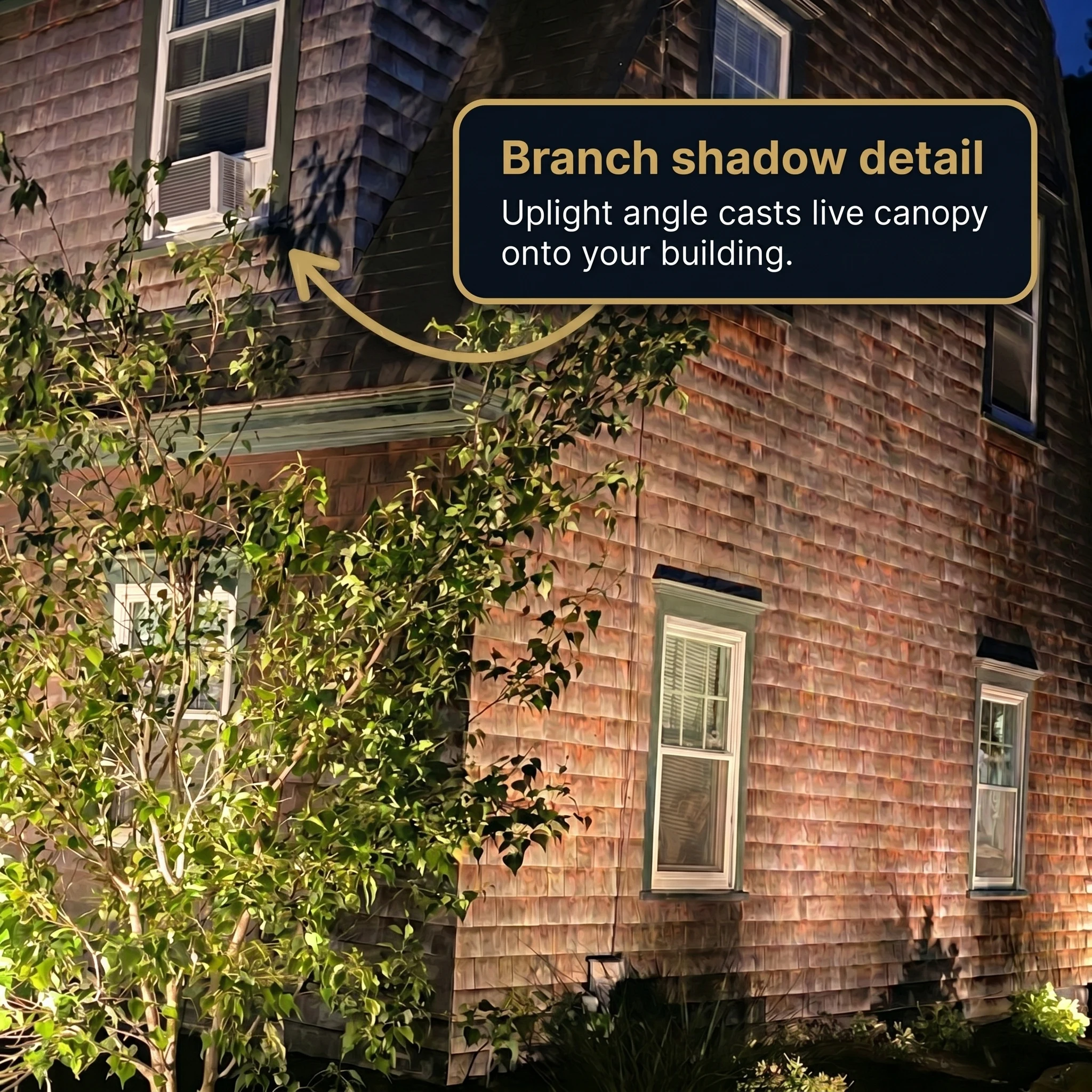 Branch shadows cast on cedar shingle wall by uplight, annotated detail shot